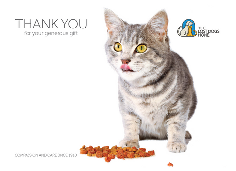 $10 Charity Gift Card - Give to Help Provide Cats With Treats
