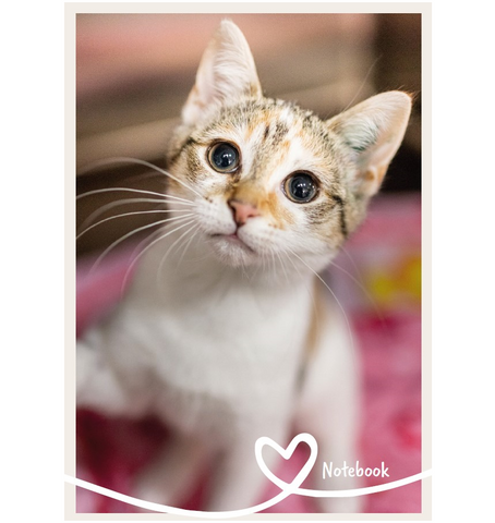 Cat Notebook - A5 Spiral 150 Pages (Lined)