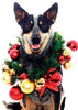 Dog Christmas Cards - Pack of 6 with Shelter Dogs