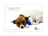 $250 Charity Gift Card - Give to Help Provide a Dog With Emergency Treatment