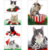 12 Strays of Christmas Cards - Cheer Edition. Pack of 12 with Shelter Dogs & Cats