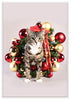 12 Strays of Christmas Cards - Joy Edition. Pack of 12 with Shelter Dogs & Cats
