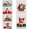 12 Strays of Christmas Cards - Joy Edition. Pack of 12 with Shelter Dogs & Cats