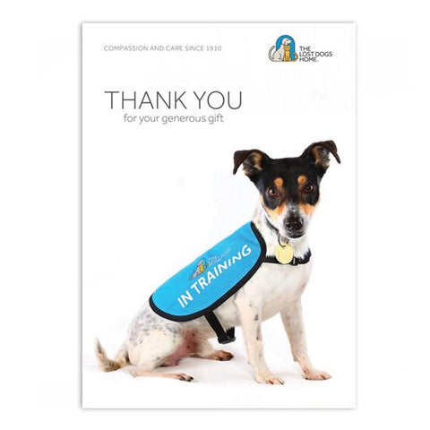 $60 Gift Card - Give to Help Train & Support a Dog in Need