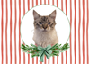 12 Strays of Christmas Cards - Hope Edition. Pack of 12 with Shelter Dogs & Cats