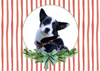 12 Strays of Christmas Cards - Hope Edition. Pack of 12 with Shelter Dogs & Cats