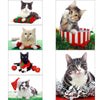 Cat Christmas Cards - Pack of 6 with Shelter Cats
