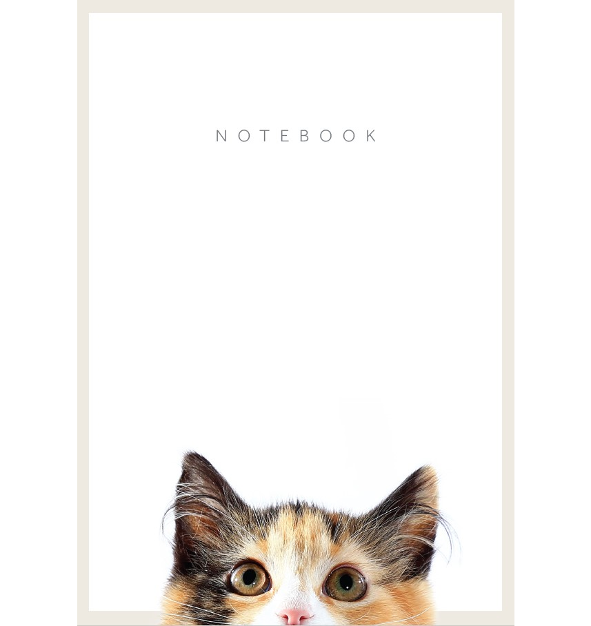 Cat Notebook - A5 Spiral 300 pages (Blank, Unlined)