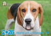 Lost Dogs Home 2026 Calendar - PRE-ORDER