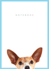 Dog Notebook - A5 Spiral 300 pages (Blank, Unlined)