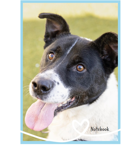 Dog Notebook - A5 Spiral 150 Pages (Lined)