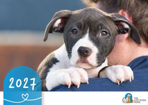 The Lost Dogs' Home 2027 Calendar
