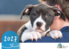 The Lost Dogs' Home 2027 Calendar
