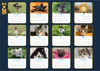 Lost Dogs Home 2026 Calendar - PRE-ORDER