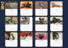 Lost Dogs Home 2026 Calendar - PRE-ORDER