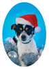12 Strays of Christmas Cards - Merry Edition. Pack of 12 with Shelter Dogs & Cats