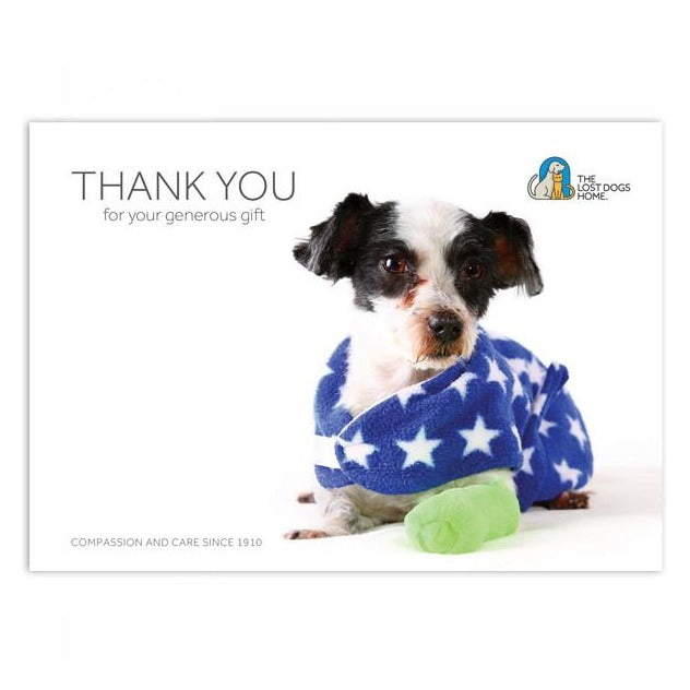 $250 Charity Gift Card - Give to Help Provide a Dog With Emergency Treatment